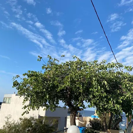 Miros Apts In 50m From The 度假居 *